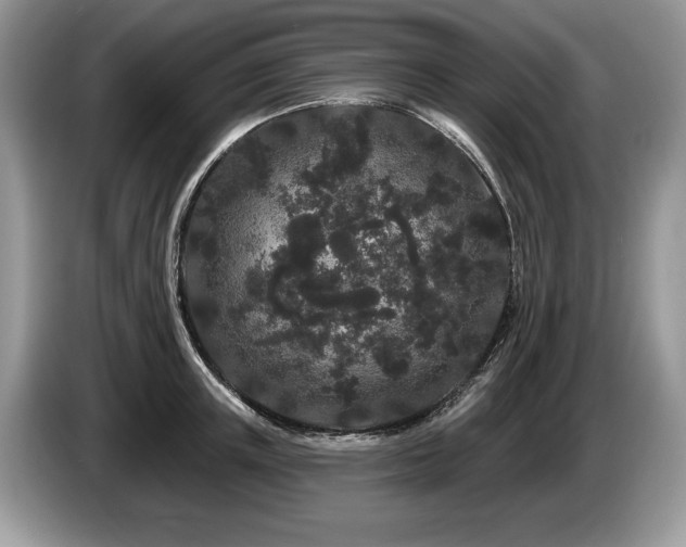 X0000087610851200704271339