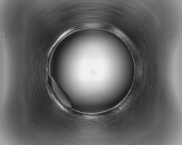 X0000087610852200704271339