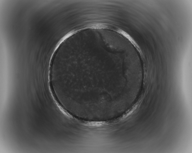 X0000087610853200704271339