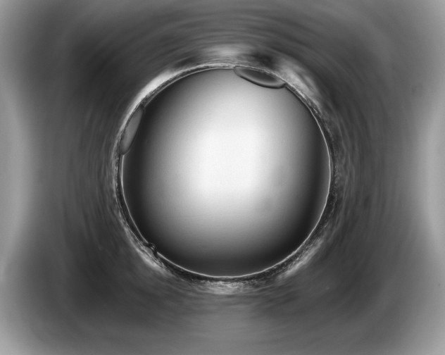 X0000087610854200704271339