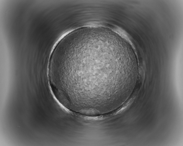 X0000087610855200704271339