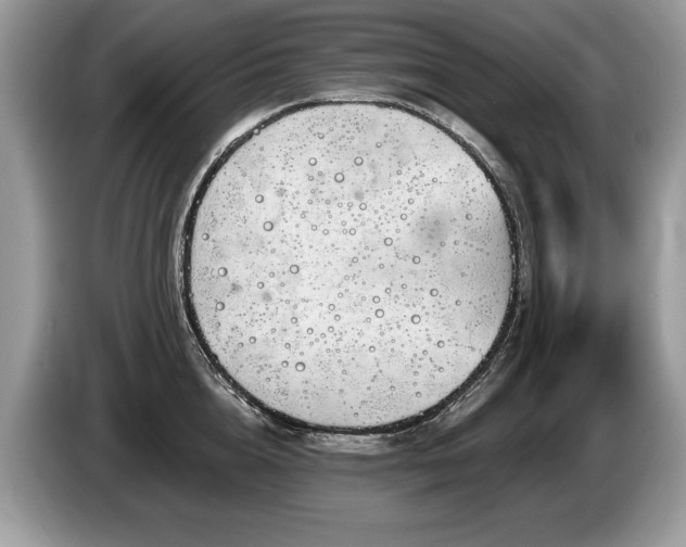 X0000087610856200704271339