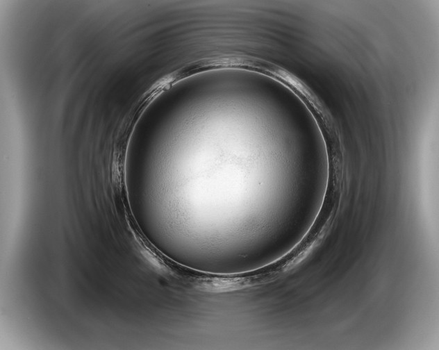 X0000087610857200704271339