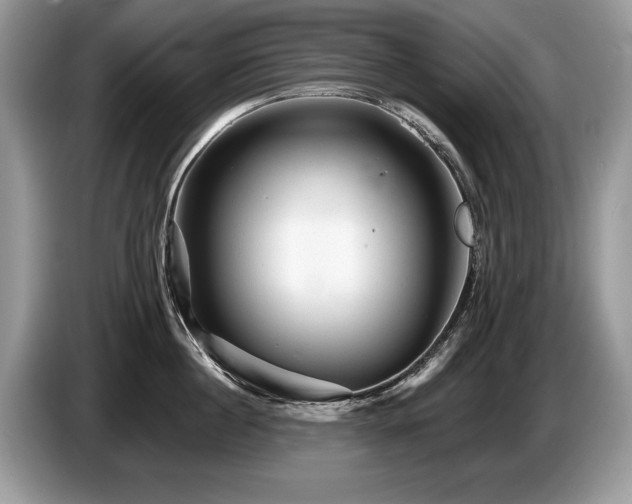 X0000087610860200704271339