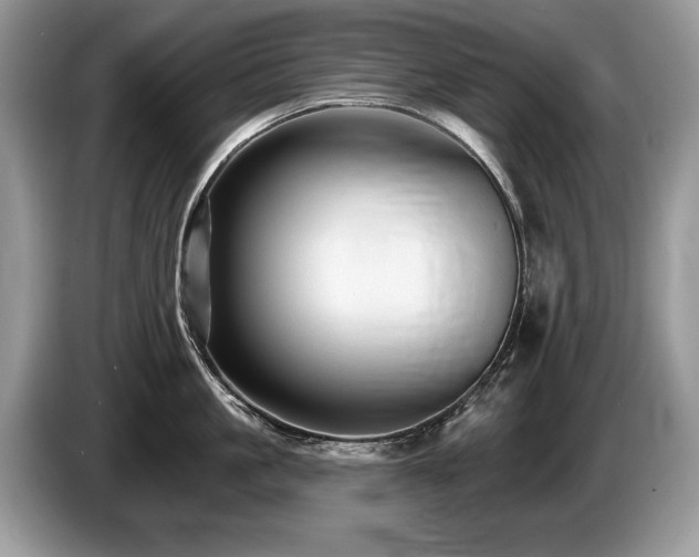 X0000087610861200704271339
