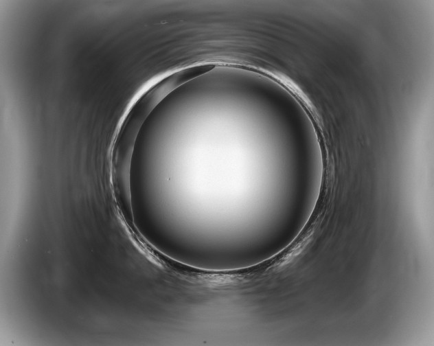 X0000087610862200704271339