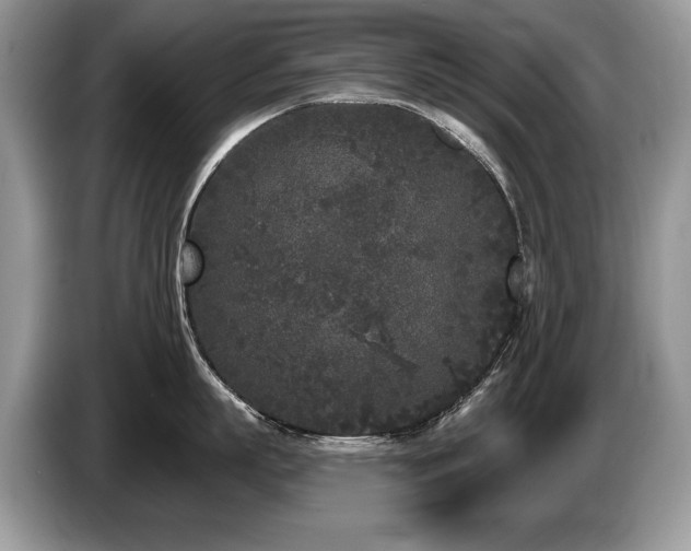 X0000087610863200704271339