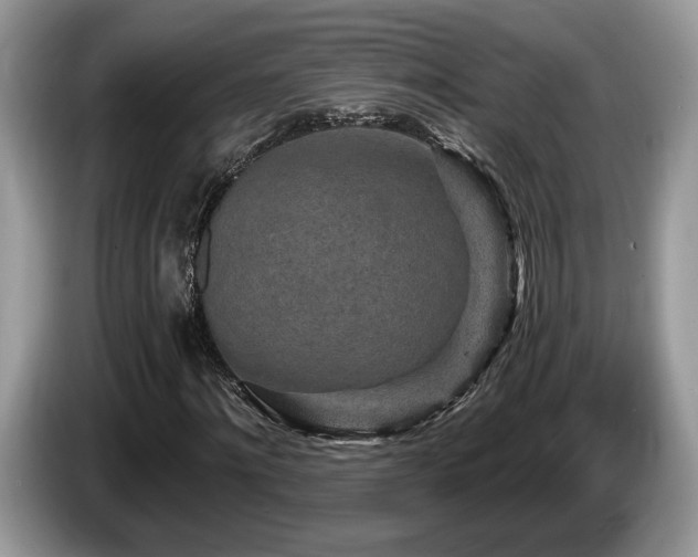 X0000087610868200704271339