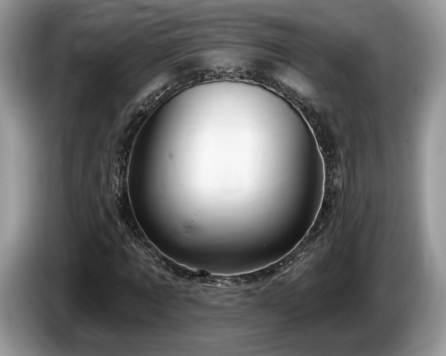 X0000087610869200704271339