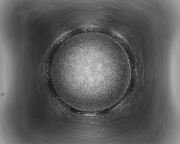 X0000087610870200704271339