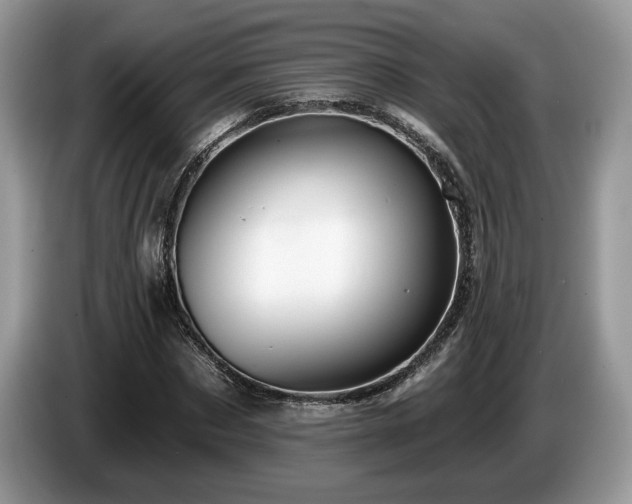 X0000087610873200704271339