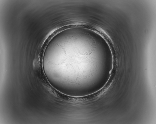 X0000087610875200704271339