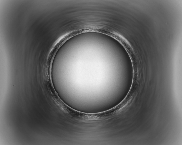 X0000087610878200704271339