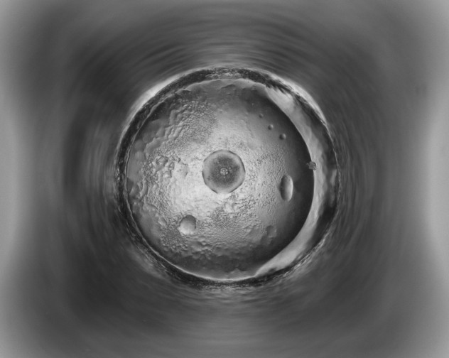 X0000087610879200704271339
