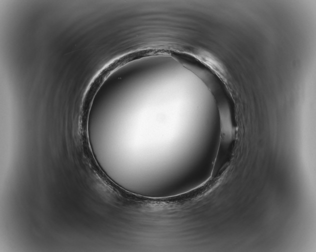 X0000087610880200704271339