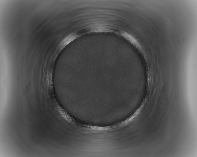 X0000087610881200704271339