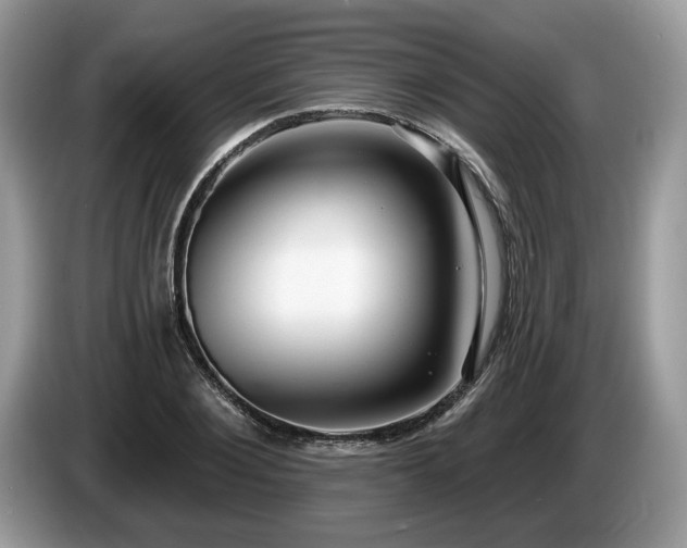 X0000087610884200704271339