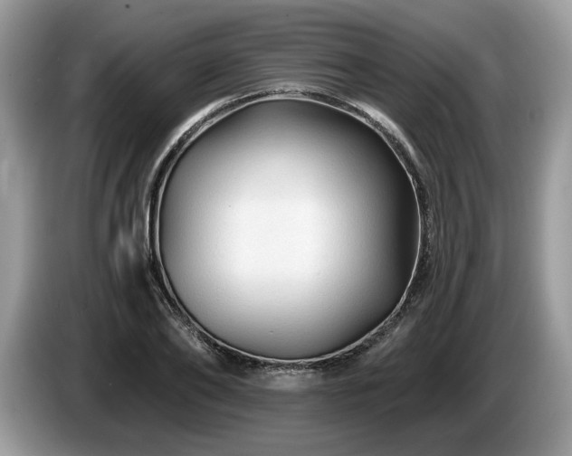 X0000087610886200704271339