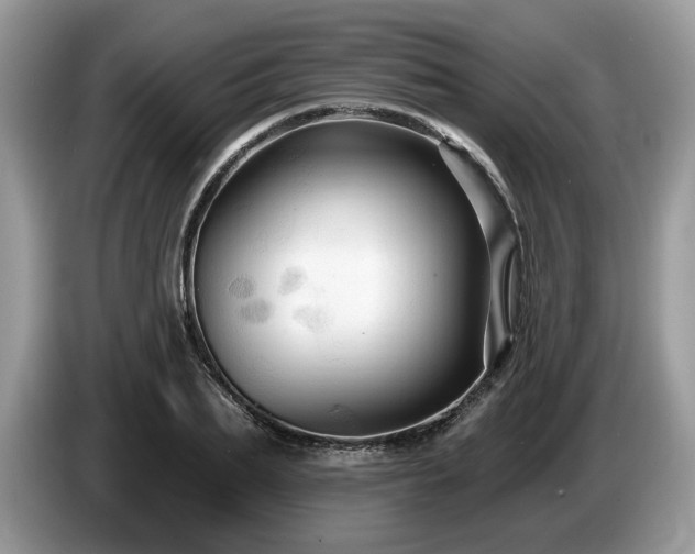 X0000087610887200704271338