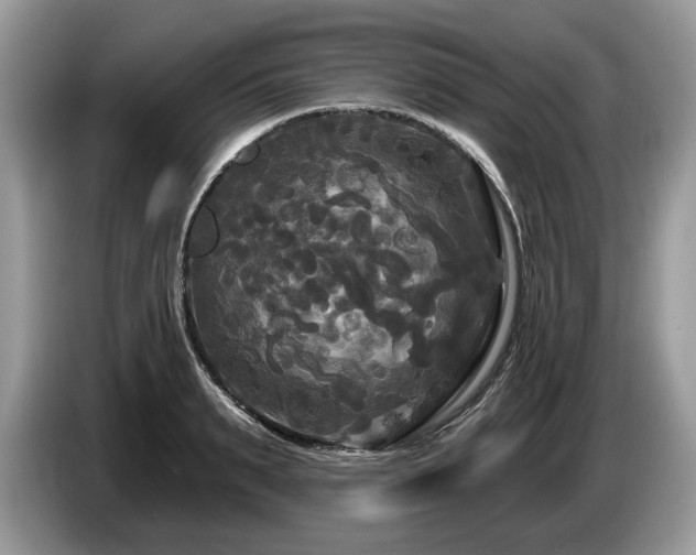 X0000087610895200704271338