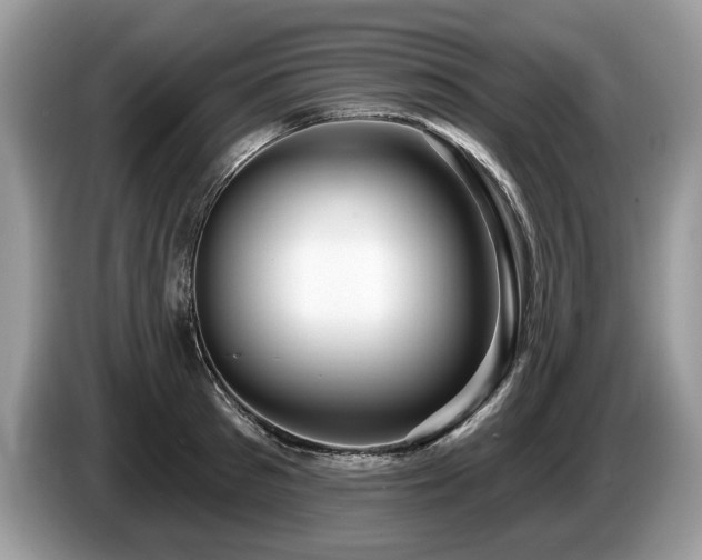 X0000087610897200704271338