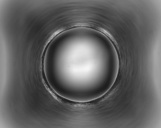 X0000087610898200704271338