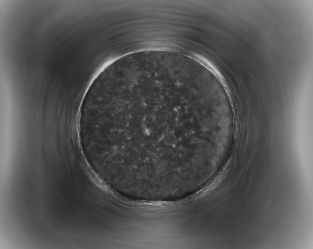 X0000087610899200704271338