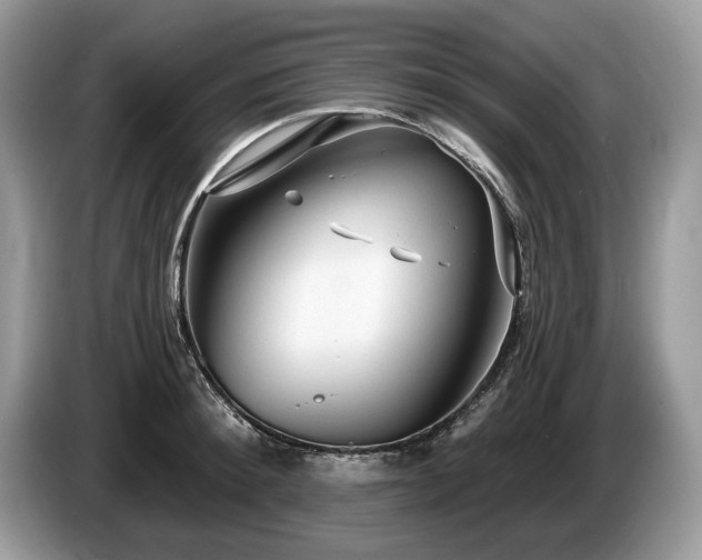 X0000087610900200704271338