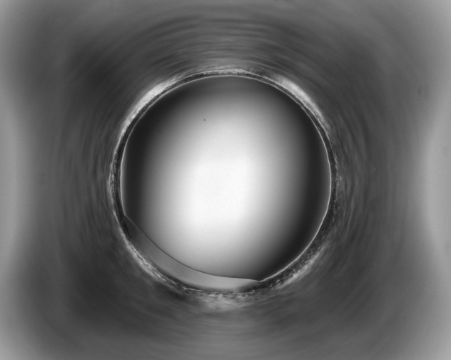 X0000087610901200704271338