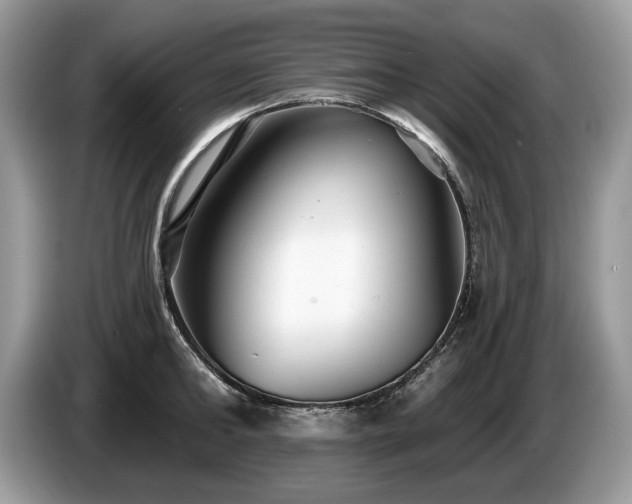 X0000087610902200704271338