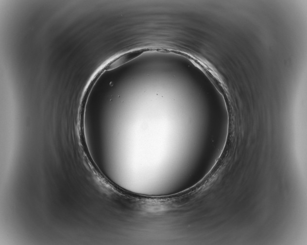 X0000087610904200704271338