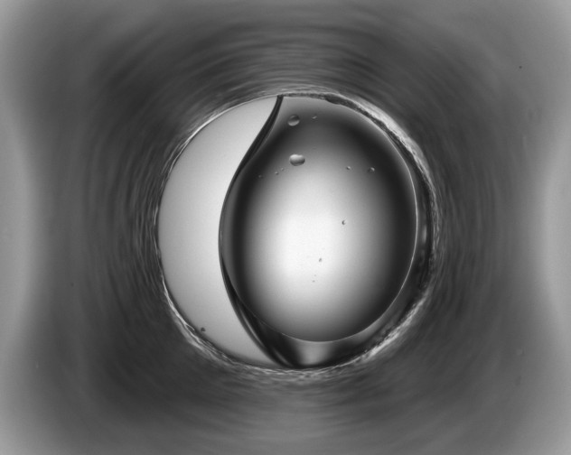 X0000087610905200704271338