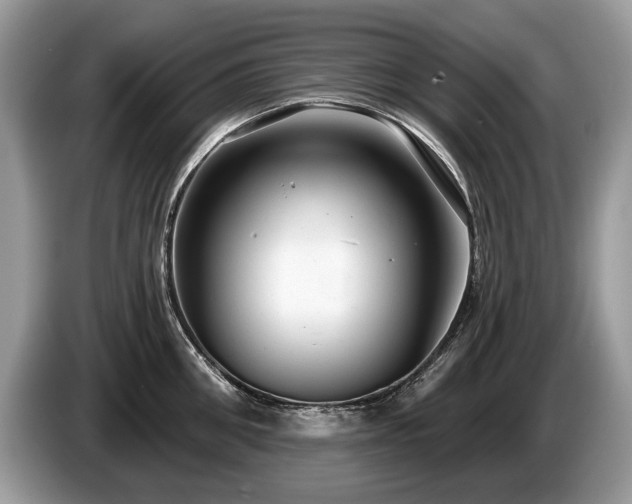 X0000087610906200704271338