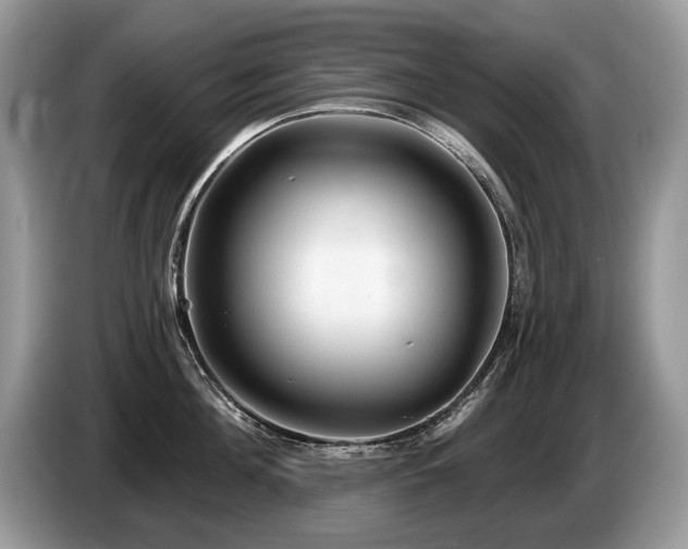 X0000087610908200704271338