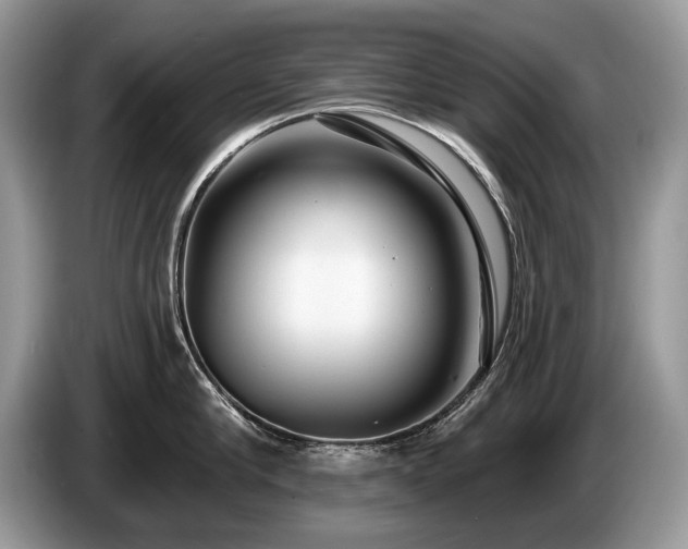 X0000087610910200704271338