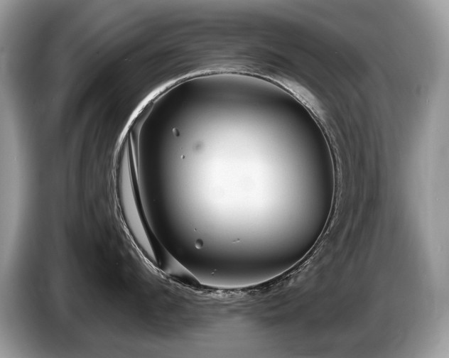 X0000087610912200704271338