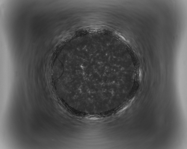 X0000087610913200704271338