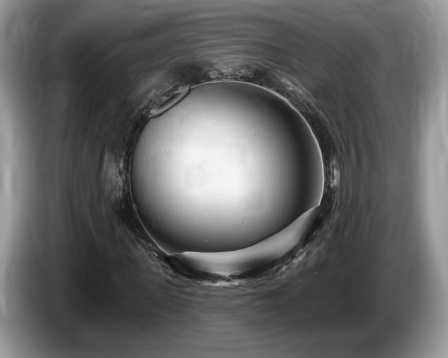 X0000087610915200704271338