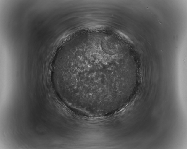 X0000087610917200704271338