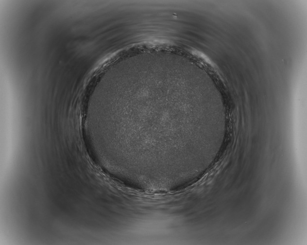 X0000087610919200704271338