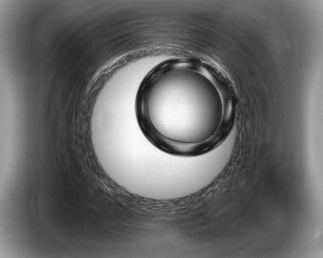 X0000087610920200704271338