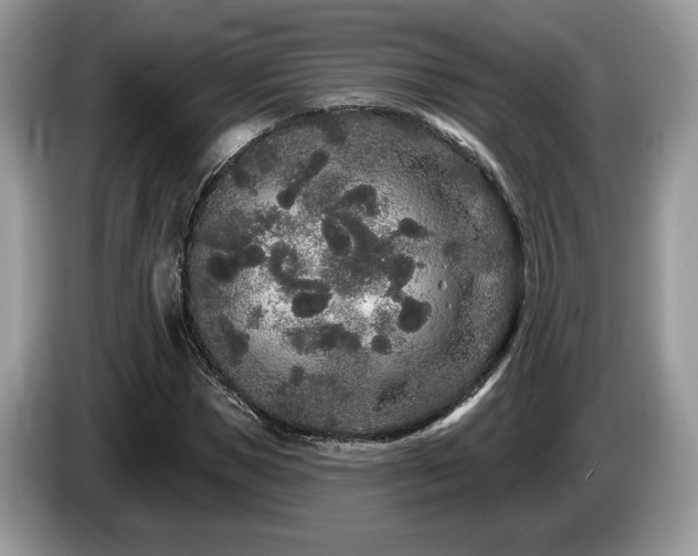 X0000087610921200704271338