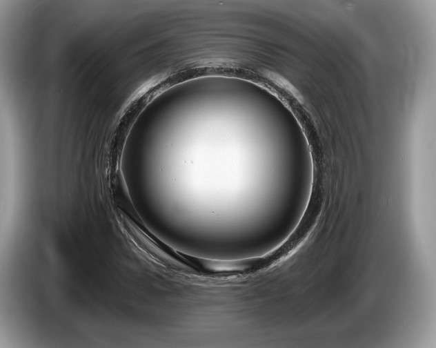 X0000087610922200704271338