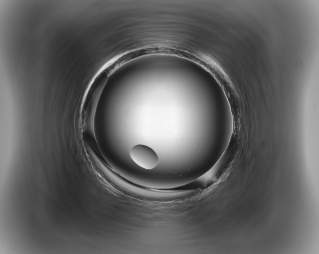 X0000087610924200704271338