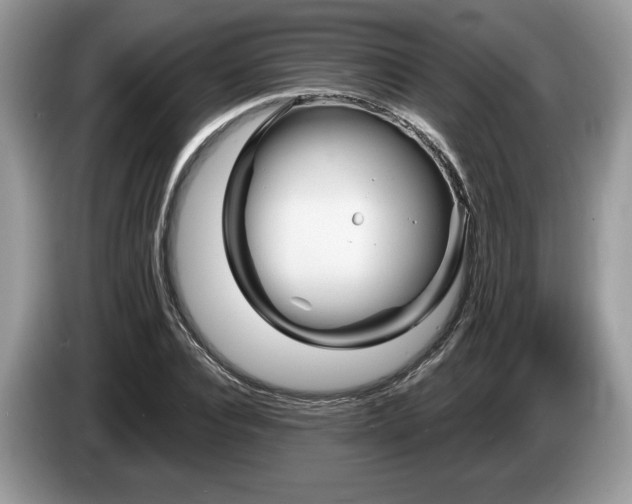 X0000087610928200704271338