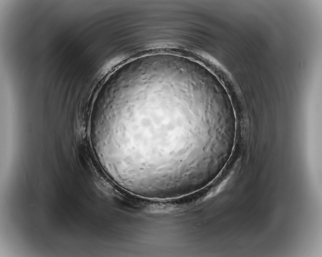 X0000087610929200704271338