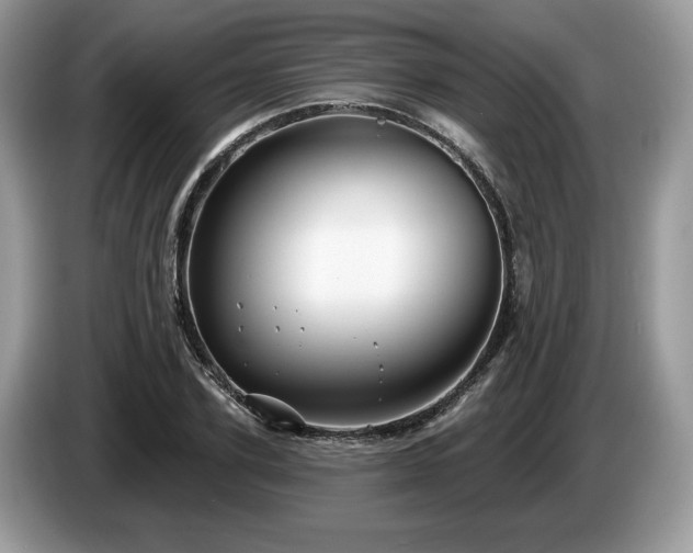X0000087610931200704271338