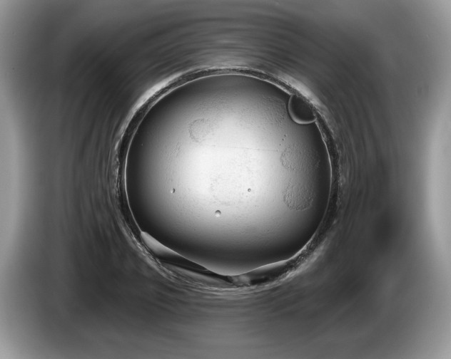 X0000087610933200704271338