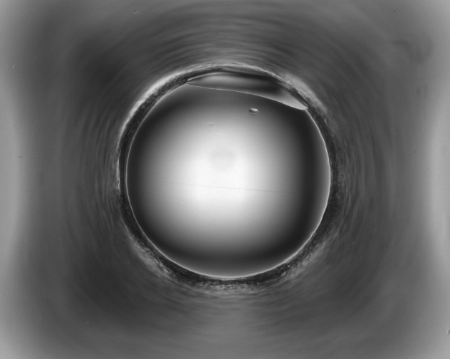 X0000087610934200704271338