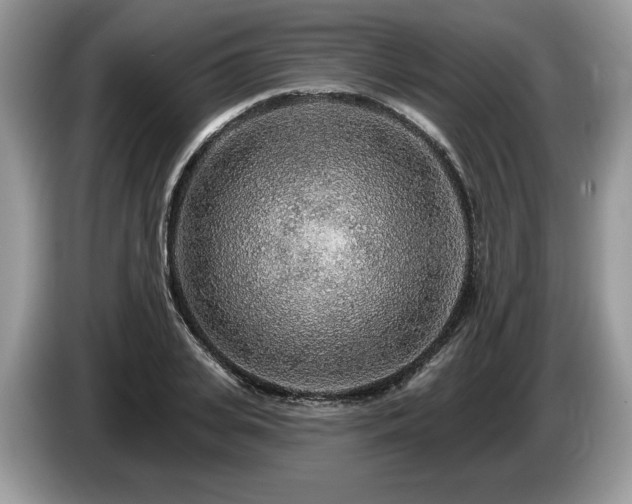 X0000087610935200704271338